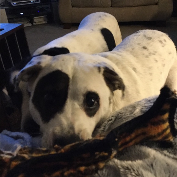 Meet your Posher, Shannon - Picture 1 of 1